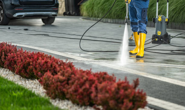 Professional Pressure Washing in Welby, CO